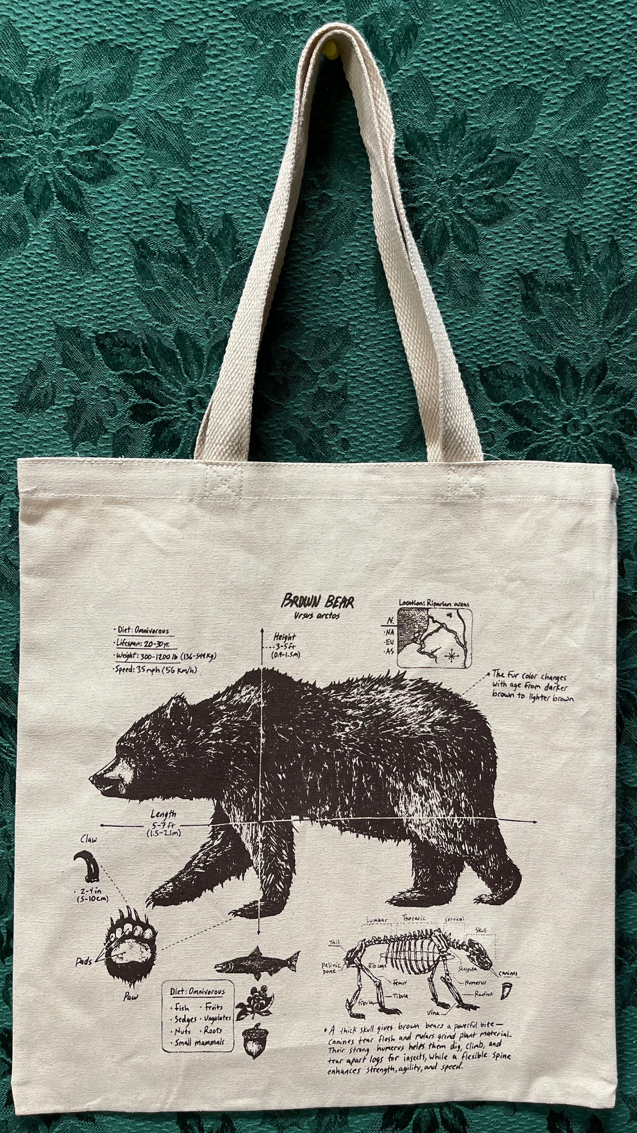 Brown Bear Anatomy Tote Bag