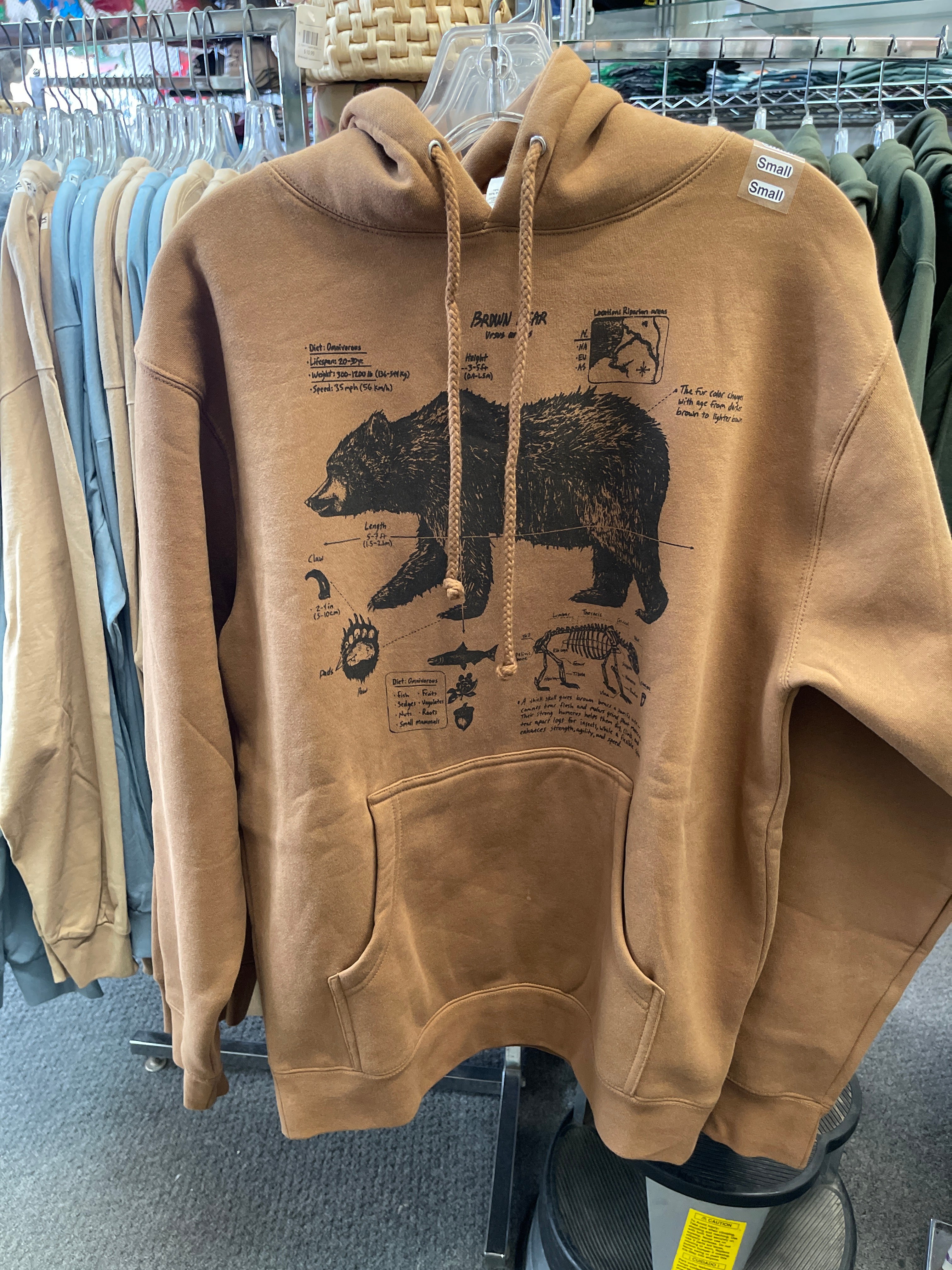 Brown Bear Anatomy Hoodie