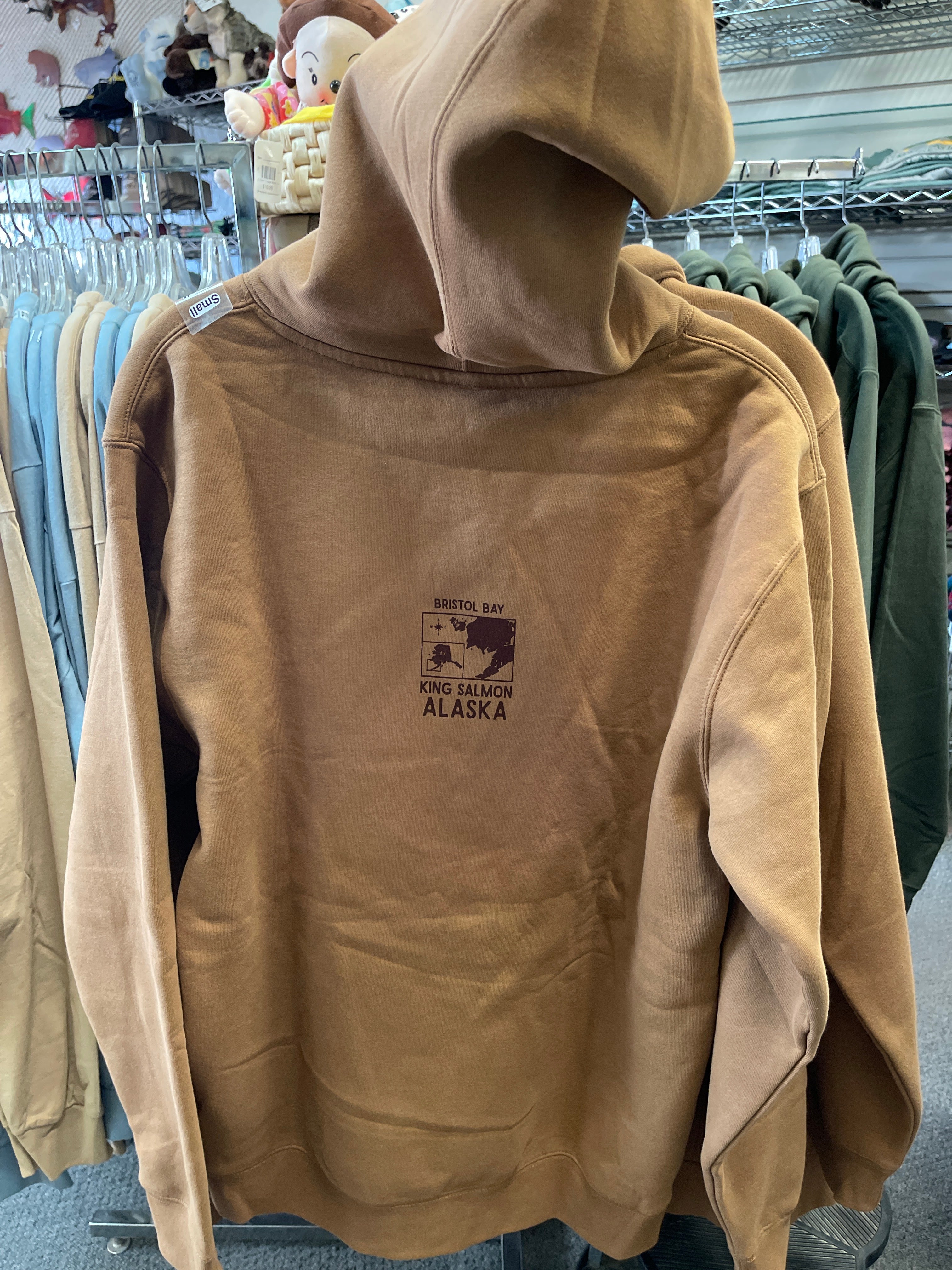 Brown Bear Anatomy Hoodie